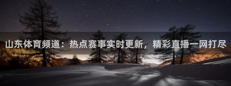 绿茵体育直播9939：山东体育频道：热点赛事实时更新，精彩直播一网打尽