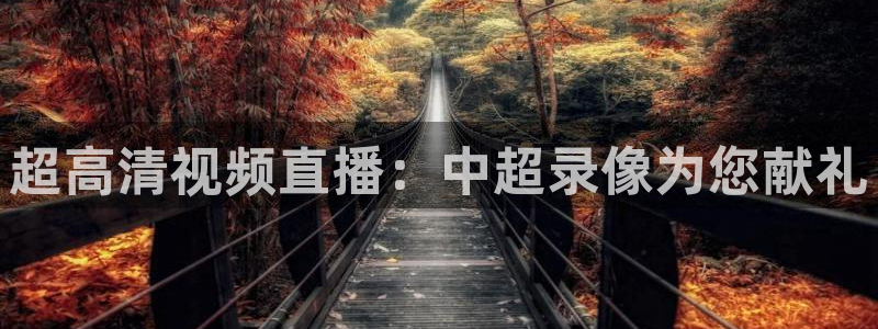 绿茵体育直播官网下载：超高清视频直播：中超录像为您献礼