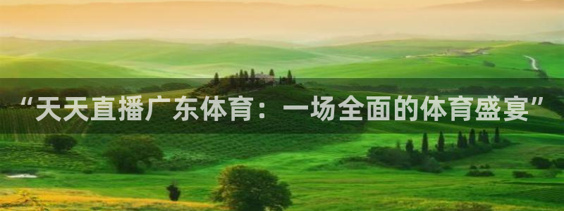 足球直播绿茵直播：“天天直播广东体育：一场全面的体育盛宴”