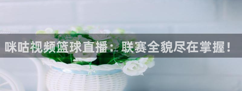 绿茵足球直播：咪咕视频篮球直播：联赛全貌尽在掌握！