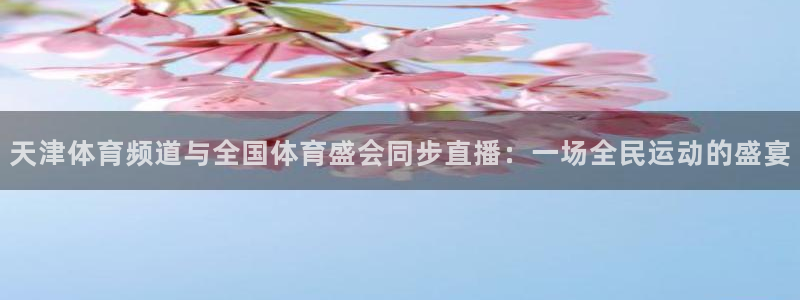 球球看绿茵：天津体育频道与全国体育盛会同步直播：一场全民运动的盛宴
