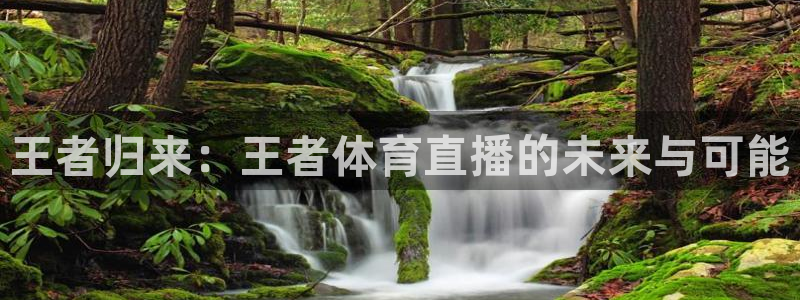 足球比赛绿茵直播：王者归来：王者体育直播的未来与可能