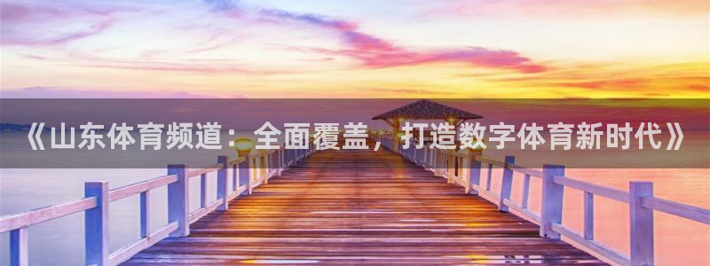 足球:无敌之全能绿茵巨星：《山东体育频道：全面覆盖，打造数字体育新时代》