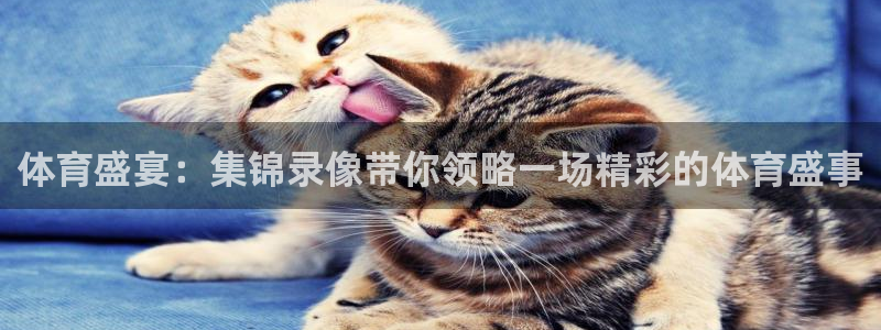 绿茵直播足球直播网：体育盛宴：集锦录像带你领略一场精彩的体育盛事