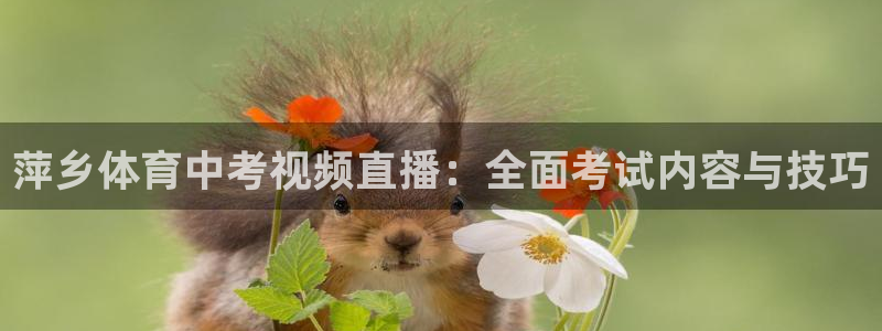 足球之绿茵球王：萍乡体育中考视频直播：全面考试内容与技巧