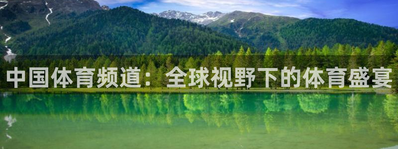 绿茵体育直播免费观看：中国体育频道：全球视野下的体育盛宴