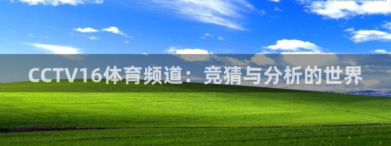 cba在线绿茵直播：CCTV16体育频道：竞猜与分析的世界